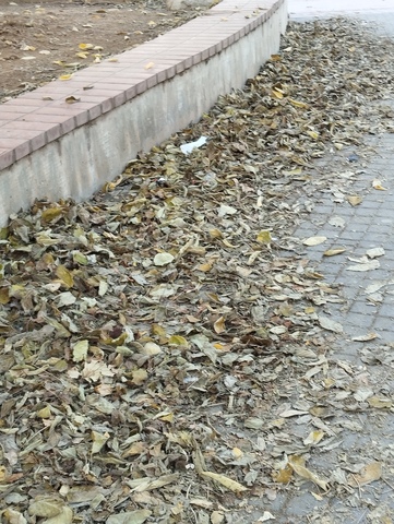 Φωτογραφία 4