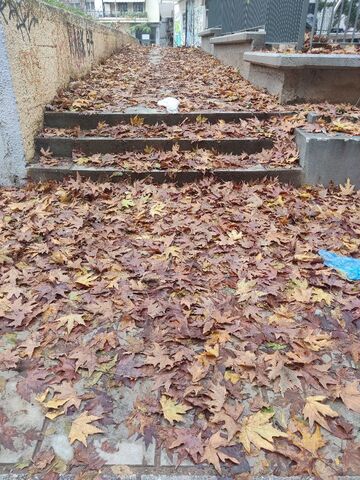 Φωτογραφία 5