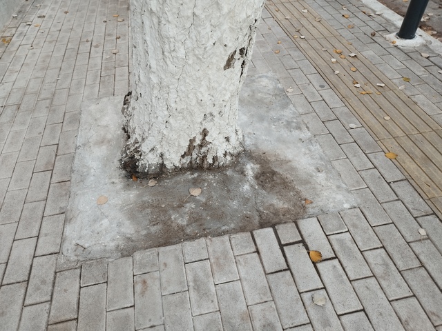 Φωτογραφία 2