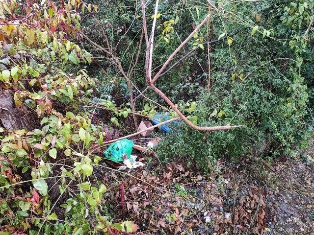 Φωτογραφία 2