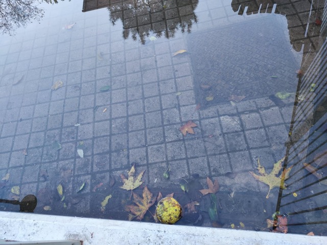 Φωτογραφία 2