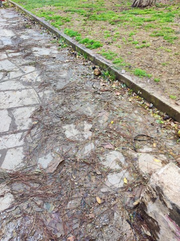 Φωτογραφία 3