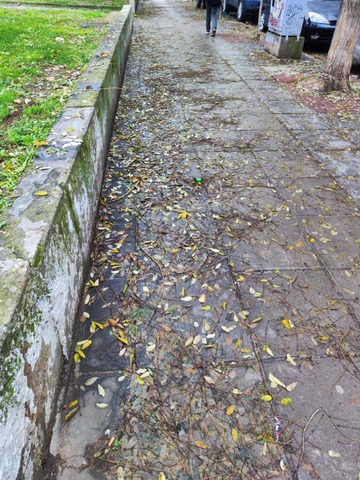 Φωτογραφία 4