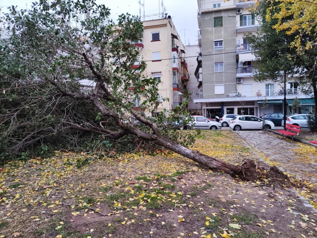 Φωτογραφία 3
