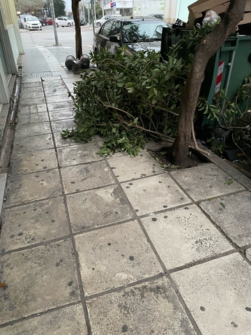 Φωτογραφία 3