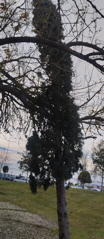 Φωτογραφία 2