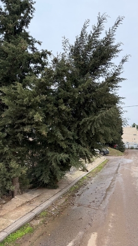 Φωτογραφία 2