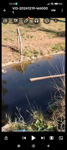 Φωτογραφία 4