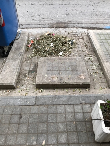 Φωτογραφία 1