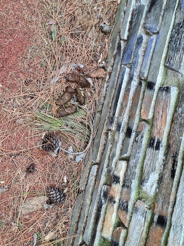 Φωτογραφία 4