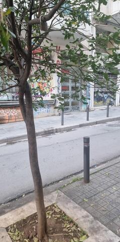 Φωτογραφία 2