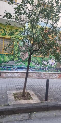 Φωτογραφία 3
