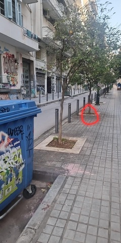 Φωτογραφία 4