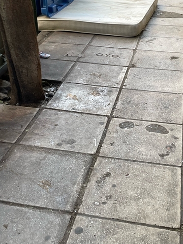 Φωτογραφία 2