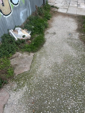 Φωτογραφία 3