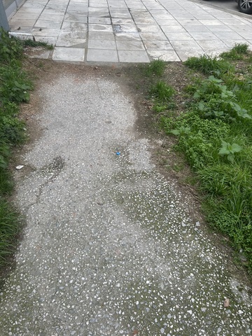 Φωτογραφία 4