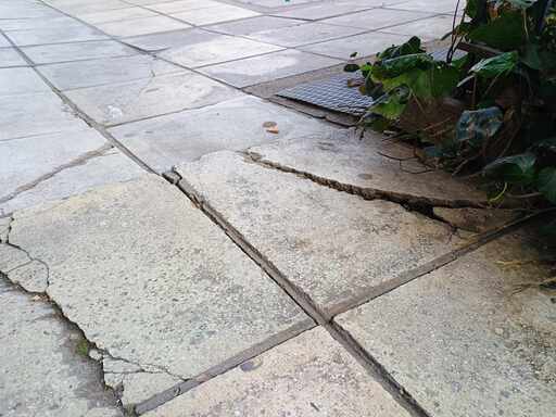 Φωτογραφία 4