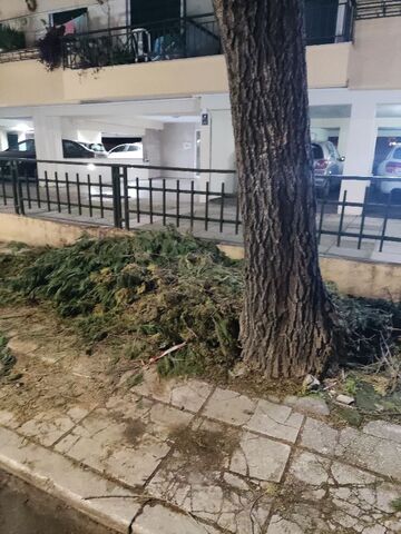 Φωτογραφία 2