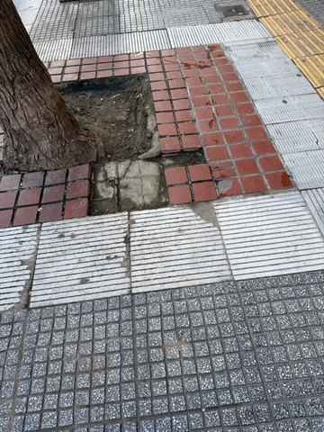 Φωτογραφία 4