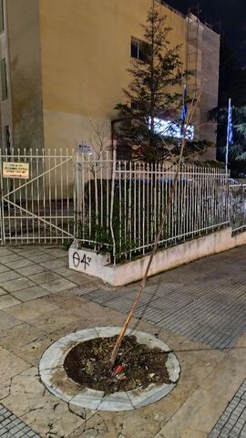 Φωτογραφία 2