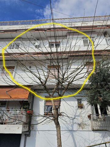 Φωτογραφία 3