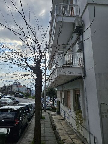 Φωτογραφία 2