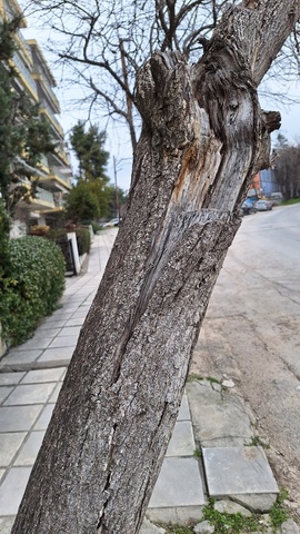 Φωτογραφία 2