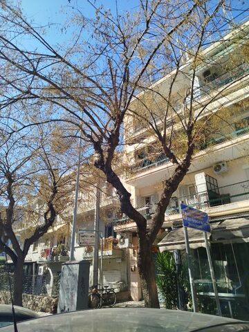Φωτογραφία 3