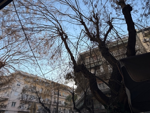 Φωτογραφία 2