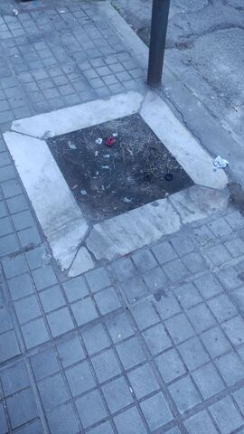 Φωτογραφία 3