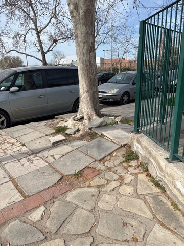 Φωτογραφία 2