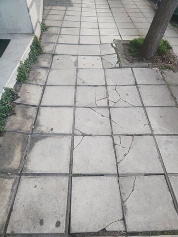 Φωτογραφία 2