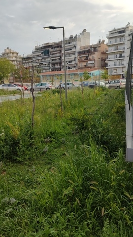 Φωτογραφία 2