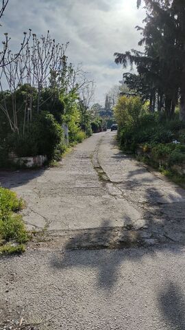 Φωτογραφία 2