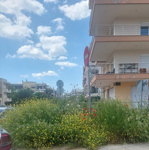 Φωτογραφία 2