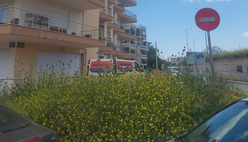 Φωτογραφία 3