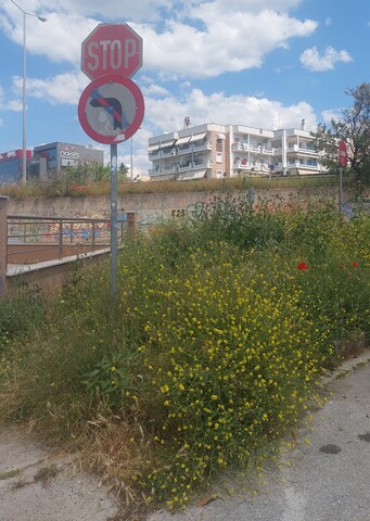 Φωτογραφία 4