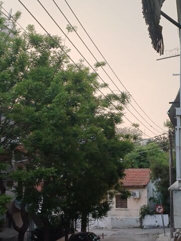 Φωτογραφία 3