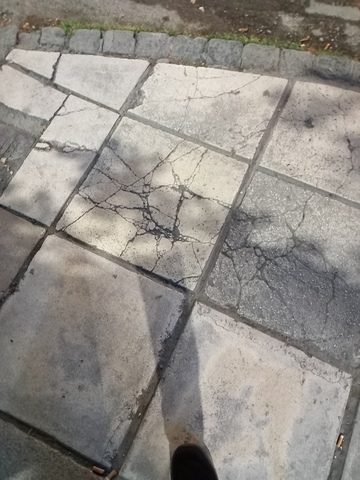 Φωτογραφία 4