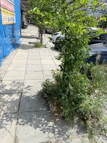 Φωτογραφία 3
