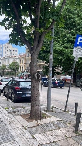Φωτογραφία 2