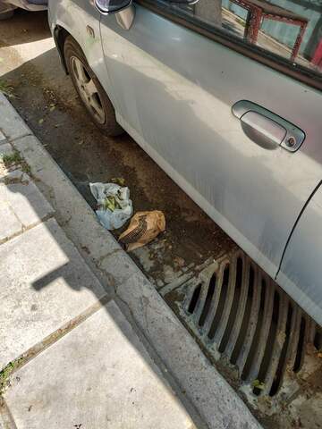 Φωτογραφία 3