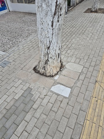 Φωτογραφία 2