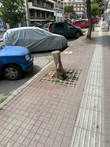 Φωτογραφία 3