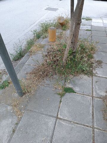 Φωτογραφία 2