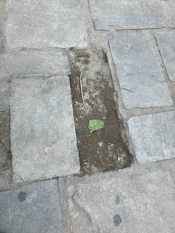 Φωτογραφία 3