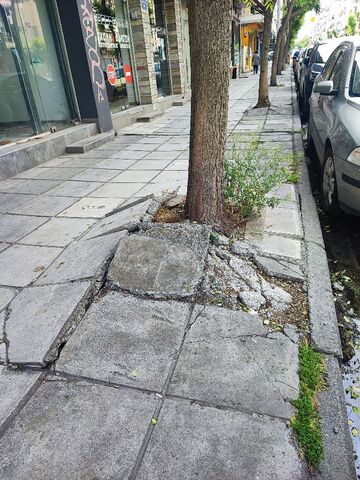 Φωτογραφία 5