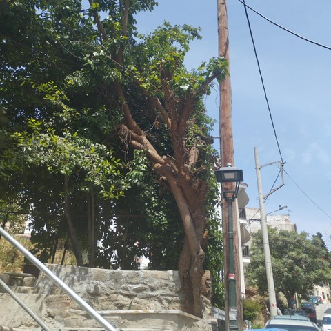 Φωτογραφία 4