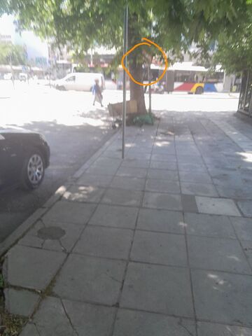 Φωτογραφία 4