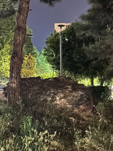 Φωτογραφία 3
